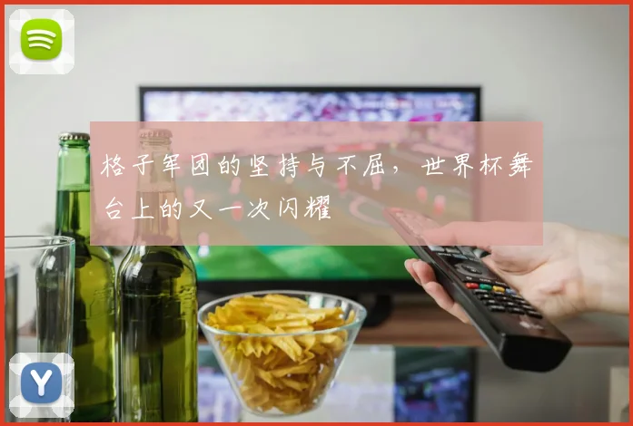 格子军团的坚持与不屈，世界杯舞台上的又一次闪耀