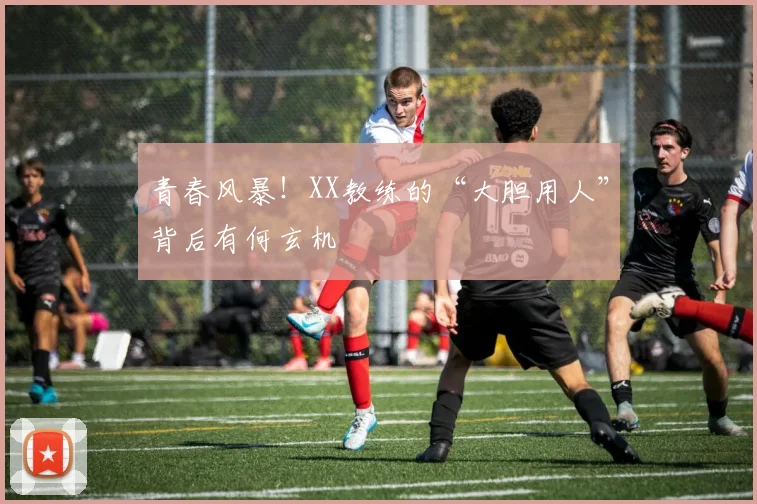 青春风暴！XX教练的“大胆用人”背后有何玄机