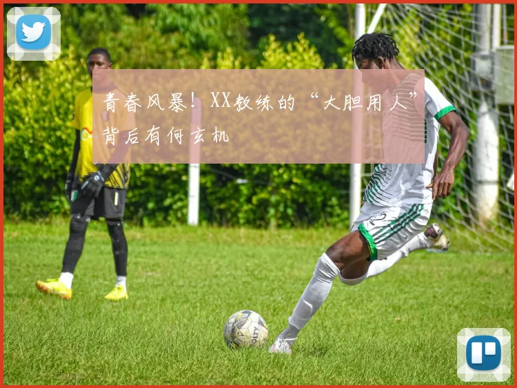 青春风暴！XX教练的“大胆用人”背后有何玄机